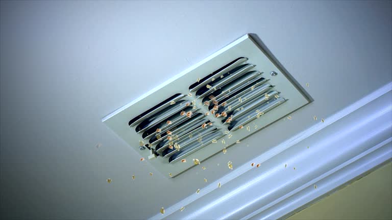 Best Air Duct Cleaning Cost  in Perry, IA