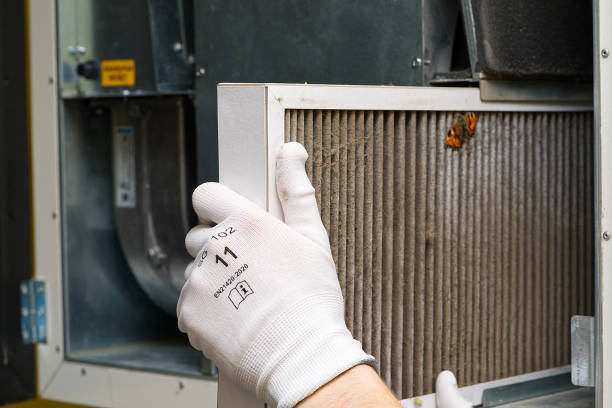 Best Dryer Vent Cleaning Services  in Perry, IA