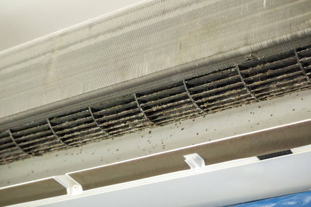 Best Air Duct Cleaning Near Me  in Perry, IA