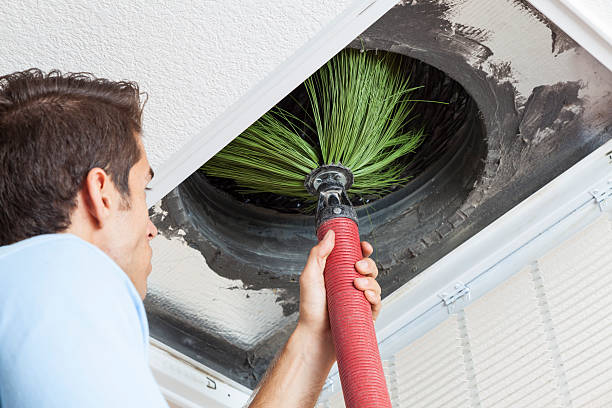 Best Air Duct Sanitizing Services  in Perry, IA